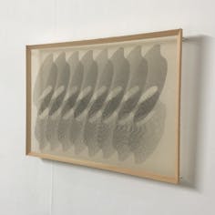 35.698068, 139.845377